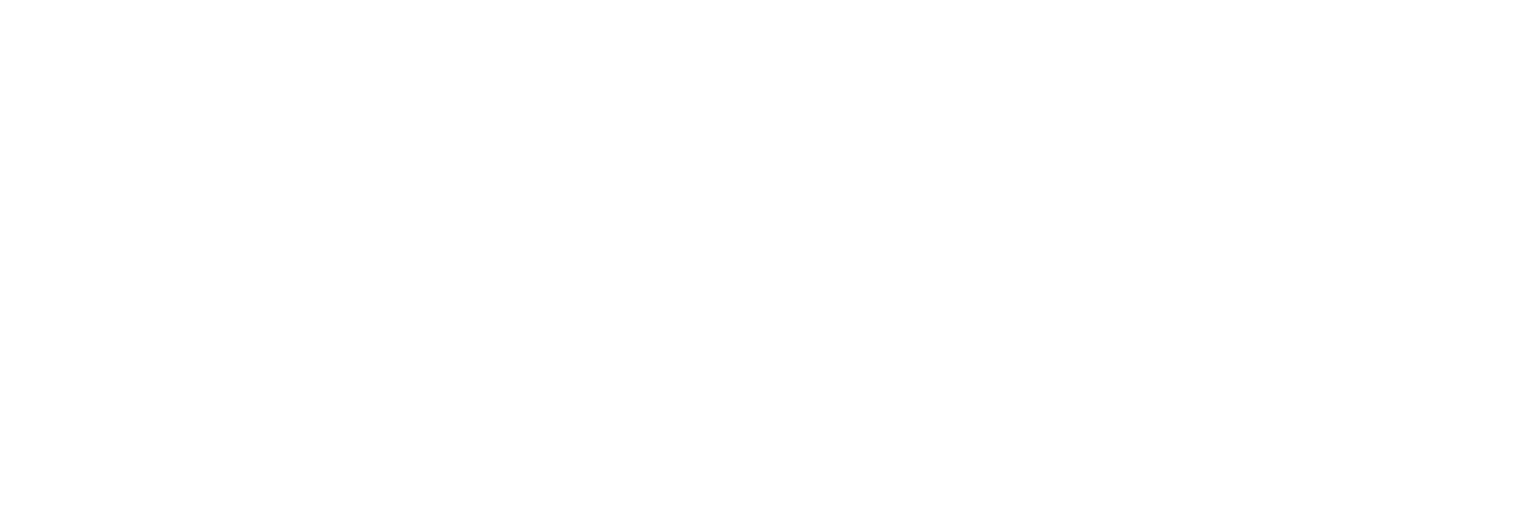 Logo 2 - White